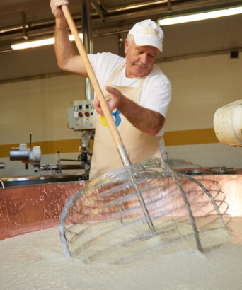 Rottura della cagliata