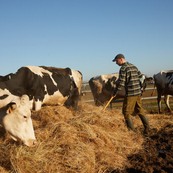 z-pattern-fare-impresa