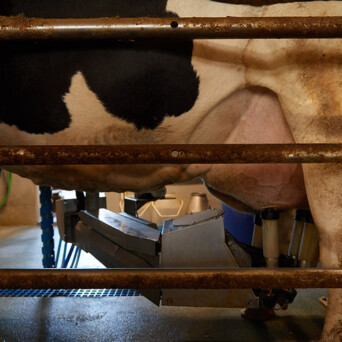 z-pattern-processi-produzione