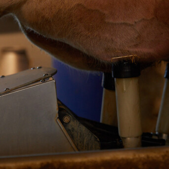 z-processi-produzione